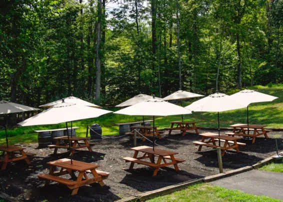 Vineyard Picnic Grove at Paradise Springs